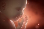 stock-photo-53911806-3d-4d-ultrasound-scan-fetus-pregnancy-concept